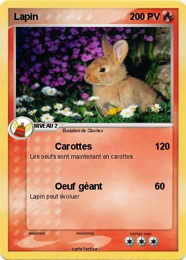 Pokemon Lapin
