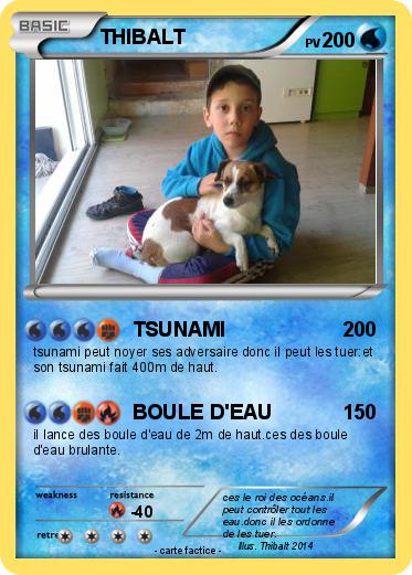 Pokemon THIBALT