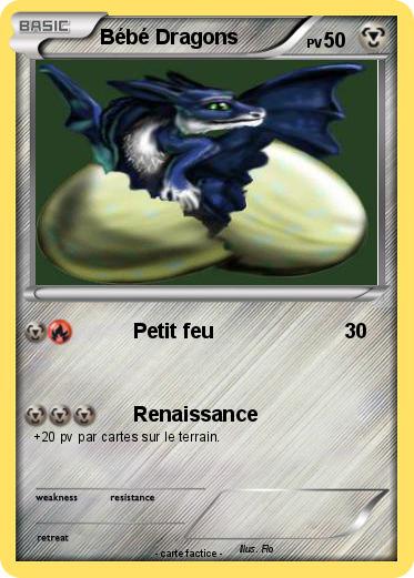 Pokemon Bébé Dragons
