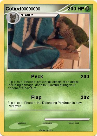 Pokemon Coti