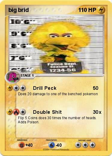 Pokemon big brid 