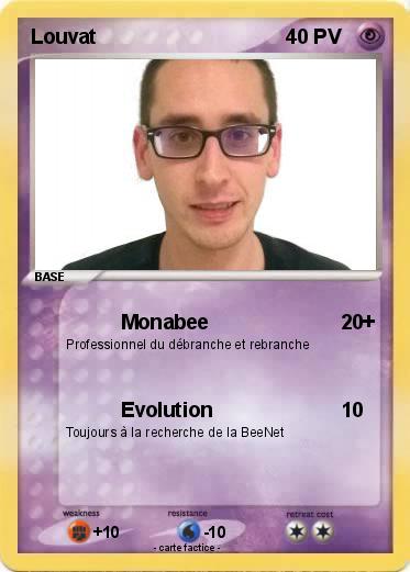 Pokemon Louvat