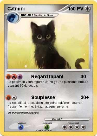 Pokemon Catmini