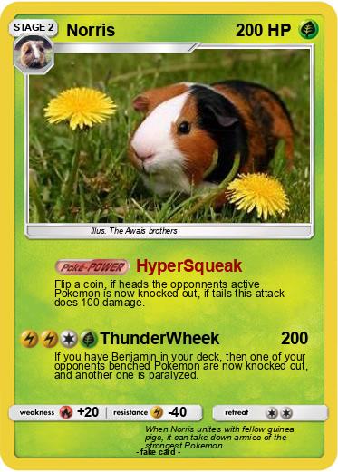 Pokemon Norris