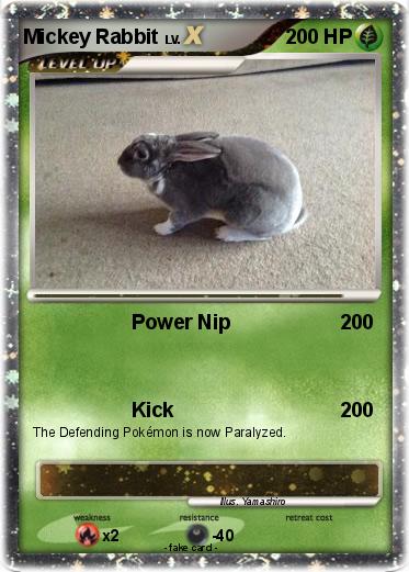 Pokemon Mickey Rabbit