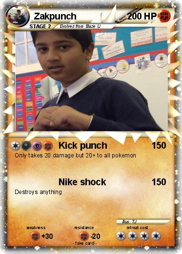 Pokemon Zakpunch