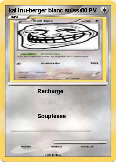 Pokemon kai inu-berger blanc suisse