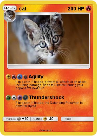 Pokemon cat