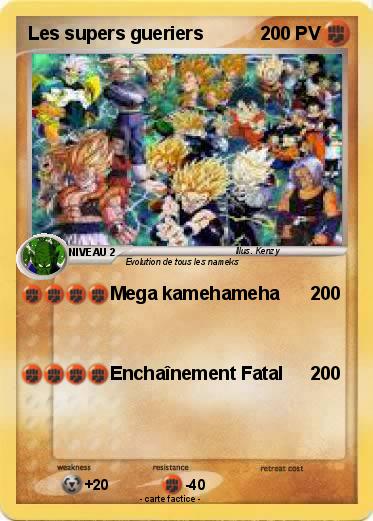 Pokemon Les supers gueriers