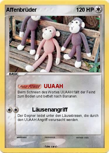 Pokemon Affenbrüder