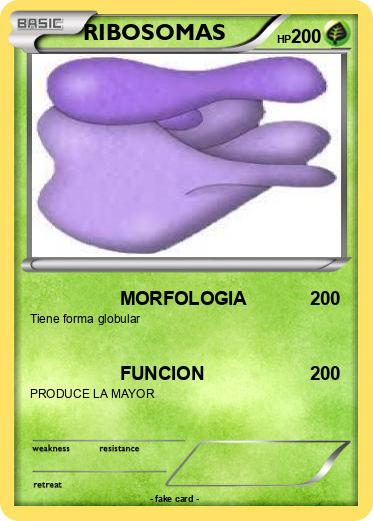 Pokemon RIBOSOMAS