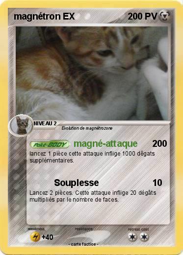 Pokemon magnétron EX