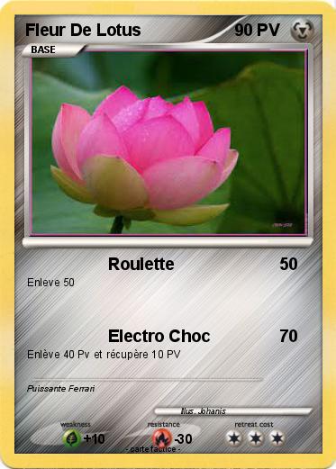 Pokemon Fleur De Lotus
