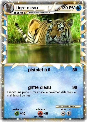 Pokemon tigre d'eau