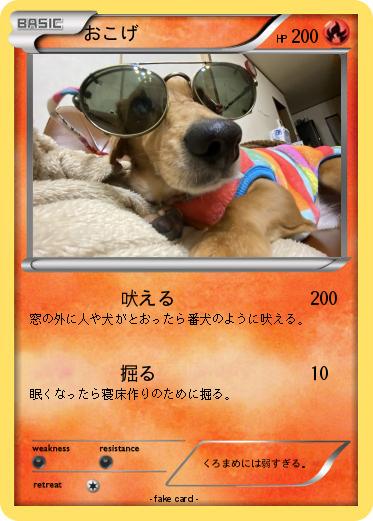 Pokemon おこげ