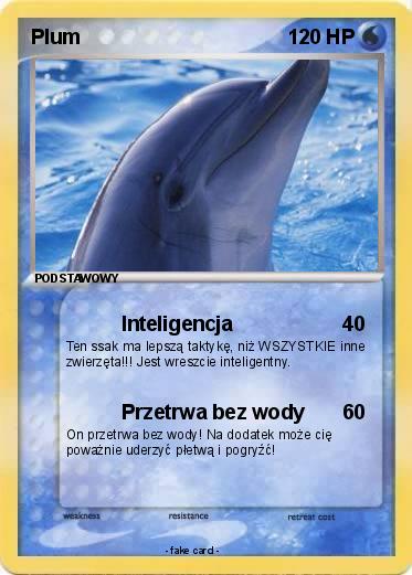 Pokemon Plum