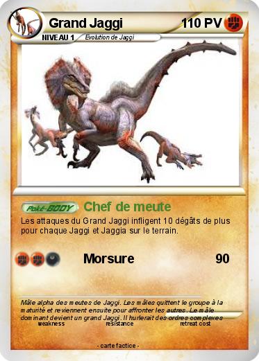 Pokemon Grand Jaggi
