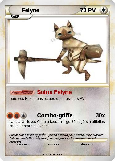 Pokemon Felyne