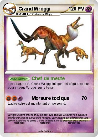 Pokemon Grand Wroggi