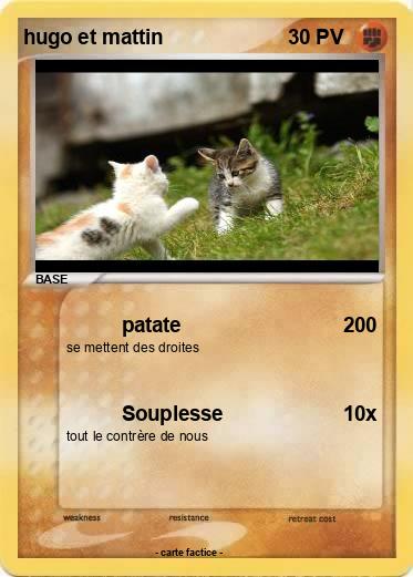 Pokemon hugo et mattin