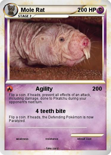 Pokemon Mole Rat