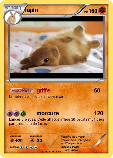 Pokemon lapin