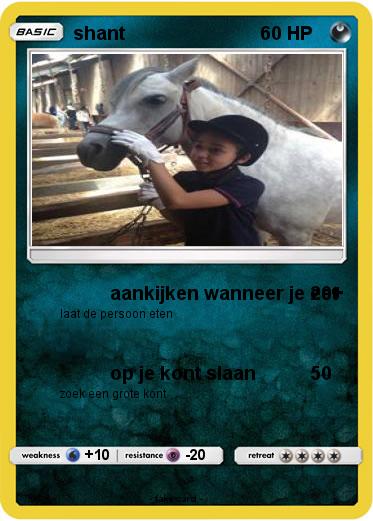 Pokemon shant