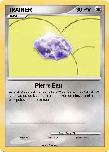 Pokemon TRAINER