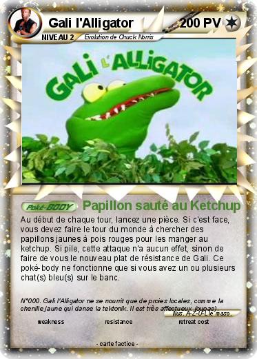 Pokemon Gali l'Alligator