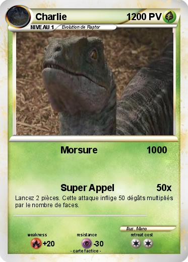 Pokemon Charlie                       1