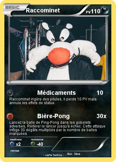 Pokemon Raccominet