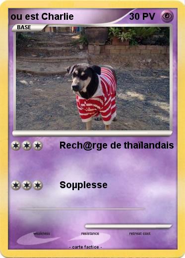 Pokemon ou est Charlie