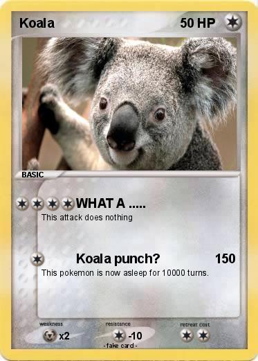 Pokemon Koala