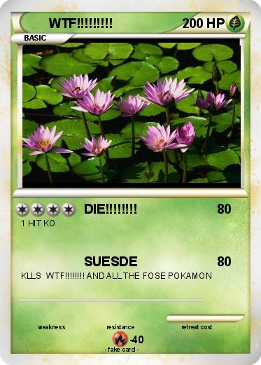 Pokemon WTF!!!!!!!!!