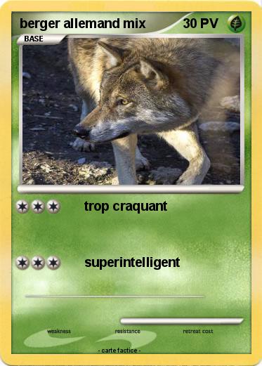 Pokemon berger allemand mix