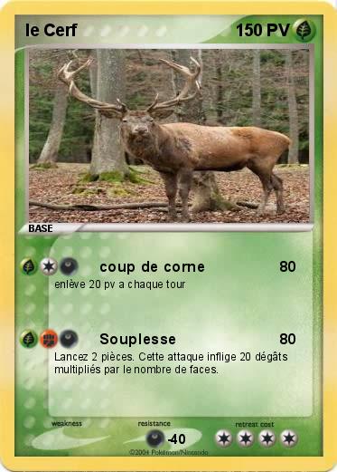 Pokemon le Cerf