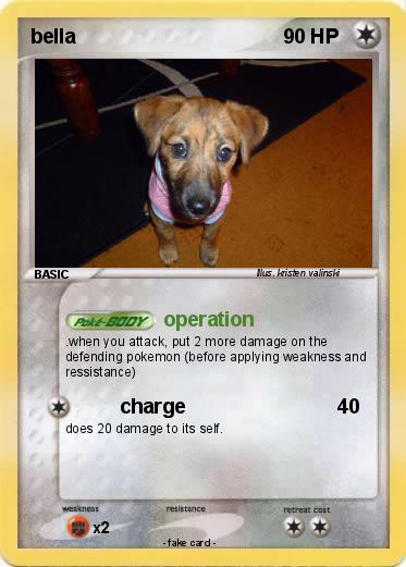 Pokemon bella