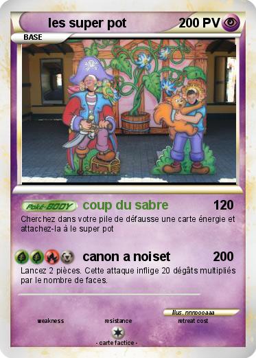 Pokemon les super pot