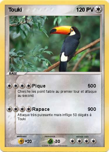 Pokemon Touki