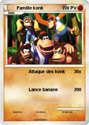 Pokemon Famille konk
