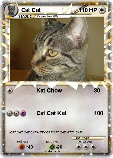 Pokemon Cat Cat
