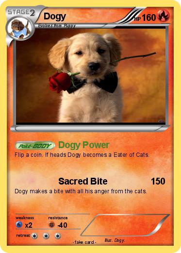 Pokemon Dogy