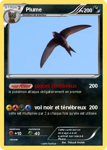 Pokemon Plume