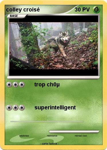 Pokemon colley croisé