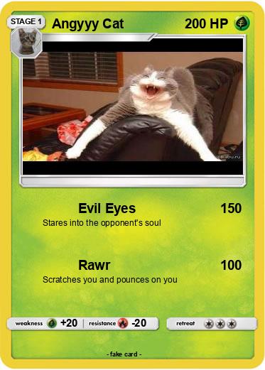Pokemon Angyyy Cat