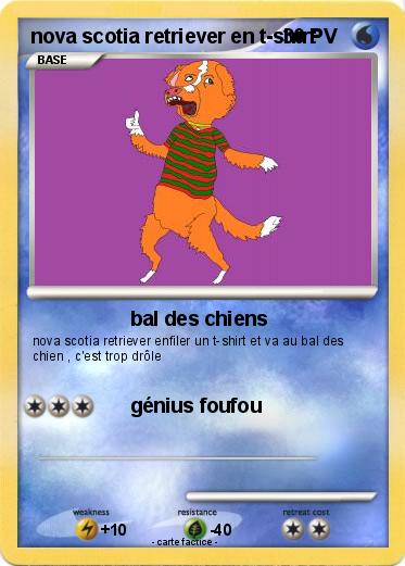 Pokemon nova scotia retriever en t-shirt