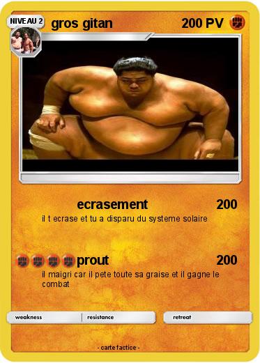 Pokemon gros gitan