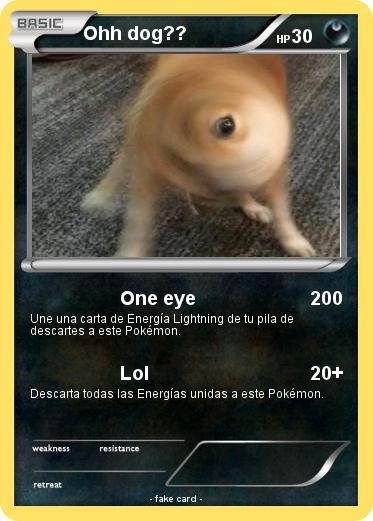 Pokemon Ohh dog??