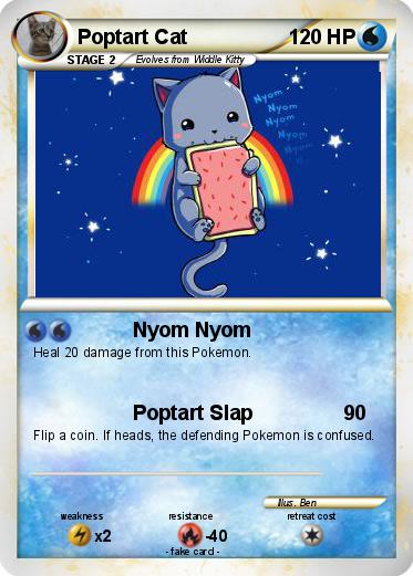 Pokemon Poptart Cat