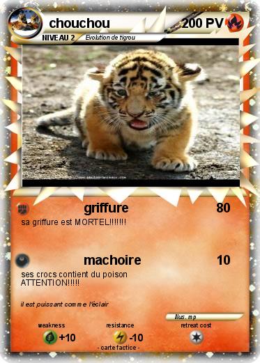 Pokemon chouchou